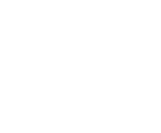 DL8fight
